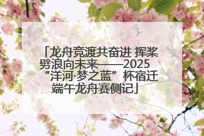 龙舟竞渡共奋进 挥桨劈浪向未来——2025“洋河·梦之蓝”杯宿迁端午龙舟赛侧记