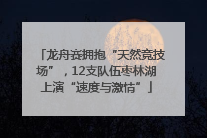 龙舟赛拥抱“天然竞技场”，12支队伍枣林湖上演“速度与激情”