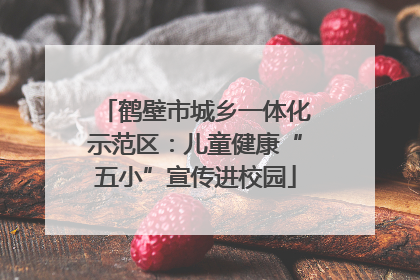 鹤壁市城乡一体化示范区：儿童健康“五小”宣传进校园