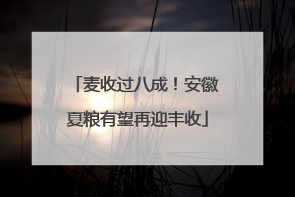 麦收过八成！安徽夏粮有望再迎丰收