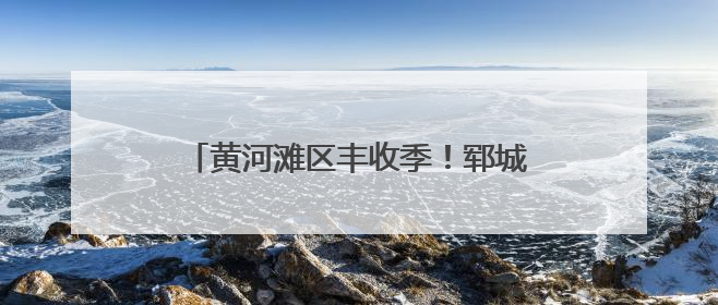 黄河滩区丰收季！郓城县摄影家协会开展黄河滩区丰收节志愿服务活动