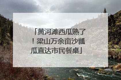 黄河滩西瓜熟了！梁山万余亩沙瓤瓜直达市民餐桌