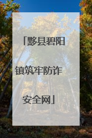 黟县碧阳镇筑牢防诈安全网