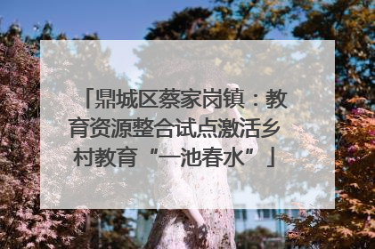 鼎城区蔡家岗镇：教育资源整合试点激活乡村教育“一池春水”
