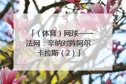 （体育）网球——法网：辛纳对阵阿尔卡拉斯（2）