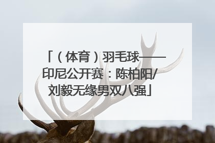 （体育）羽毛球——印尼公开赛：陈柏阳/刘毅无缘男双八强