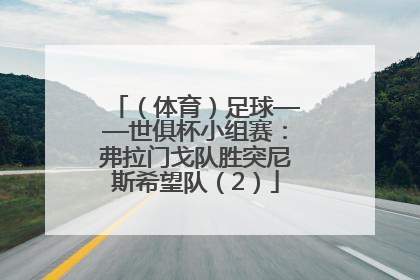 （体育）足球——世俱杯小组赛：弗拉门戈队胜突尼斯希望队（2）