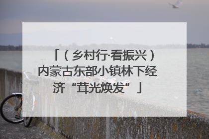 （乡村行·看振兴）内蒙古东部小镇林下经济“茸光焕发”