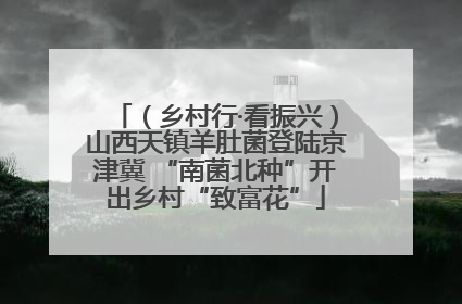 （乡村行·看振兴）山西天镇羊肚菌登陆京津冀 “南菌北种”开出乡村“致富花”