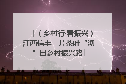（乡村行·看振兴）江西信丰一片茶叶“沏”出乡村振兴路