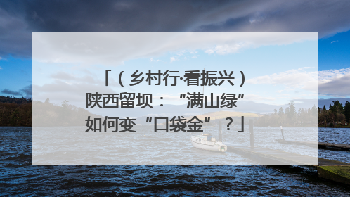 （乡村行·看振兴）陕西留坝：“满山绿”如何变“口袋金”？