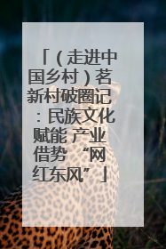 （走进中国乡村）茗新村破圈记：民族文化赋能 产业借势 “网红东风”