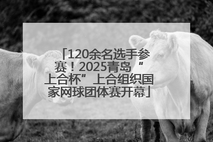 120余名选手参赛！2025青岛“上合杯”上合组织国家网球团体赛开幕