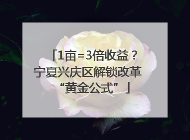 1亩=3倍收益？宁夏兴庆区解锁改革“黄金公式”