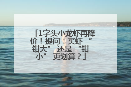 1字头小龙虾再降价！提问：买虾 “钳大” 还是 “钳小” 更划算？