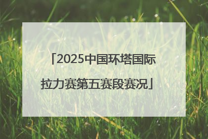 2025中国环塔国际拉力赛第五赛段赛况