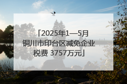 2025年1—5月铜川市印台区减免企业税费 3757万元