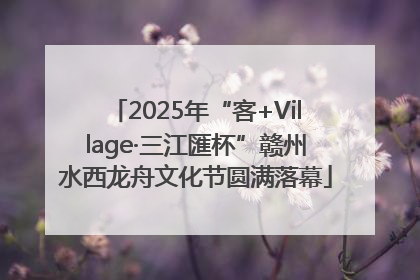 2025年“客+Village·三江匯杯”赣州水西龙舟文化节圆满落幕