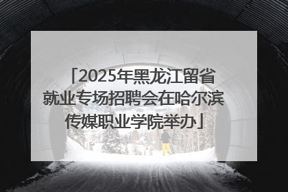 2025年黑龙江留省就业专场招聘会在哈尔滨传媒职业学院举办