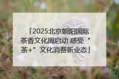 2025北京朝阳国际茶香文化周启动 感受“茶+”文化消费新业态