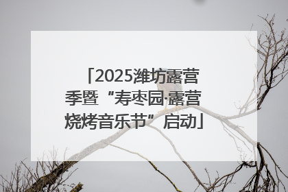 2025潍坊露营季暨“寿枣园·露营烧烤音乐节”启动