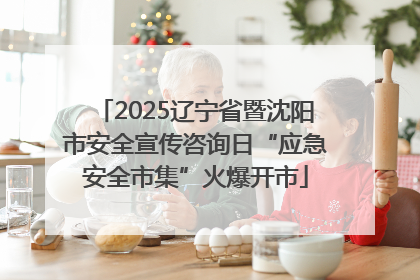 2025辽宁省暨沈阳市安全宣传咨询日“应急安全市集”火爆开市