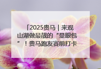 2025贵马｜来观山湖做最靓的“显眼包”！贵马跑友赛前打卡点燃奔跑热情