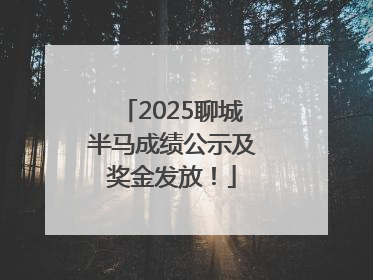 2025聊城半马成绩公示及奖金发放！