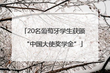 20名葡萄牙学生获颁“中国大使奖学金”