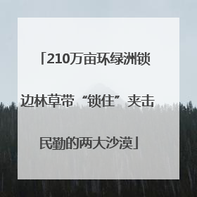 210万亩环绿洲锁边林草带“锁住”夹击民勤的两大沙漠