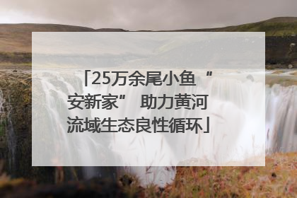 25万余尾小鱼“安新家” 助力黄河流域生态良性循环