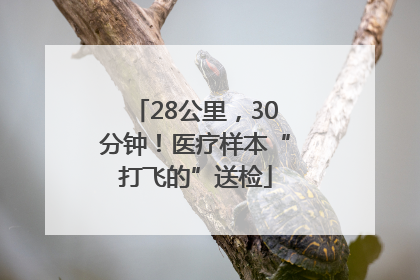 28公里，30分钟！医疗样本“打飞的”送检