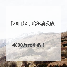 28日起，哈尔滨发放4800万元补贴！