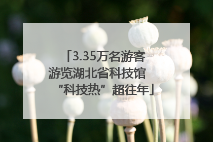 3.35万名游客游览湖北省科技馆 “科技热”超往年