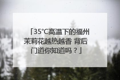 35℃高温下的福州茉莉花越热越香 背后门道你知道吗？