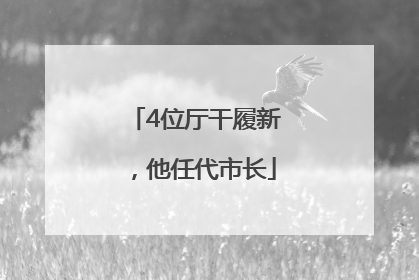 4位厅干履新，他任代市长
