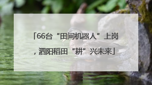 66台“田间机器人”上岗，泗阳稻田“耕”兴未来
