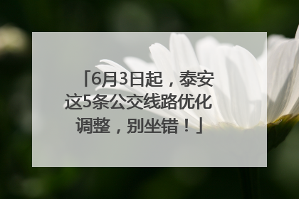 6月3日起，泰安这5条公交线路优化调整，别坐错！