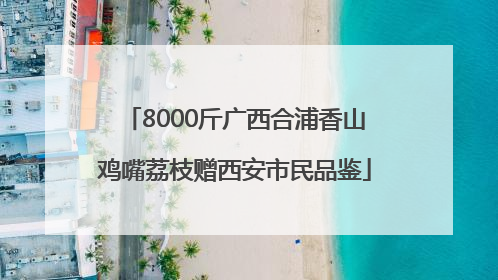 8000斤广西合浦香山鸡嘴荔枝赠西安市民品鉴