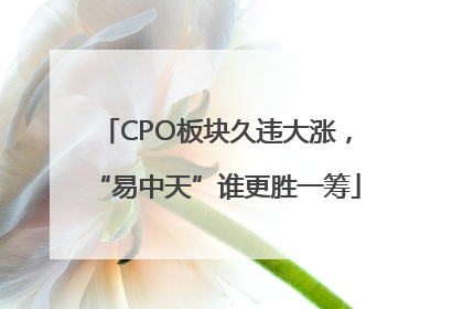 CPO板块久违大涨，“易中天”谁更胜一筹