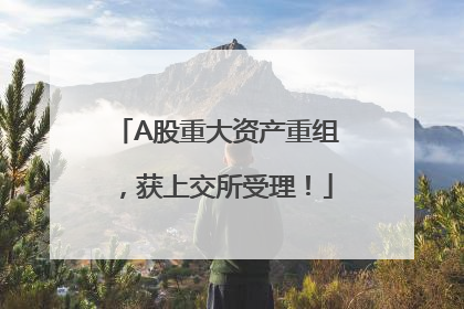 A股重大资产重组，获上交所受理！