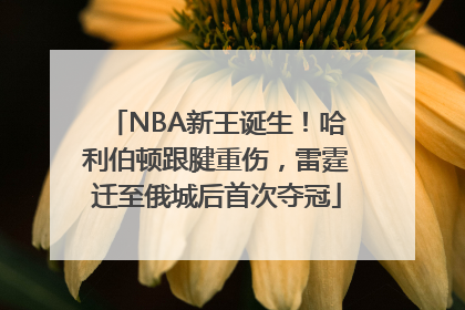 NBA新王诞生！哈利伯顿跟腱重伤，雷霆迁至俄城后首次夺冠